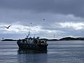 Nordkap 2009 408